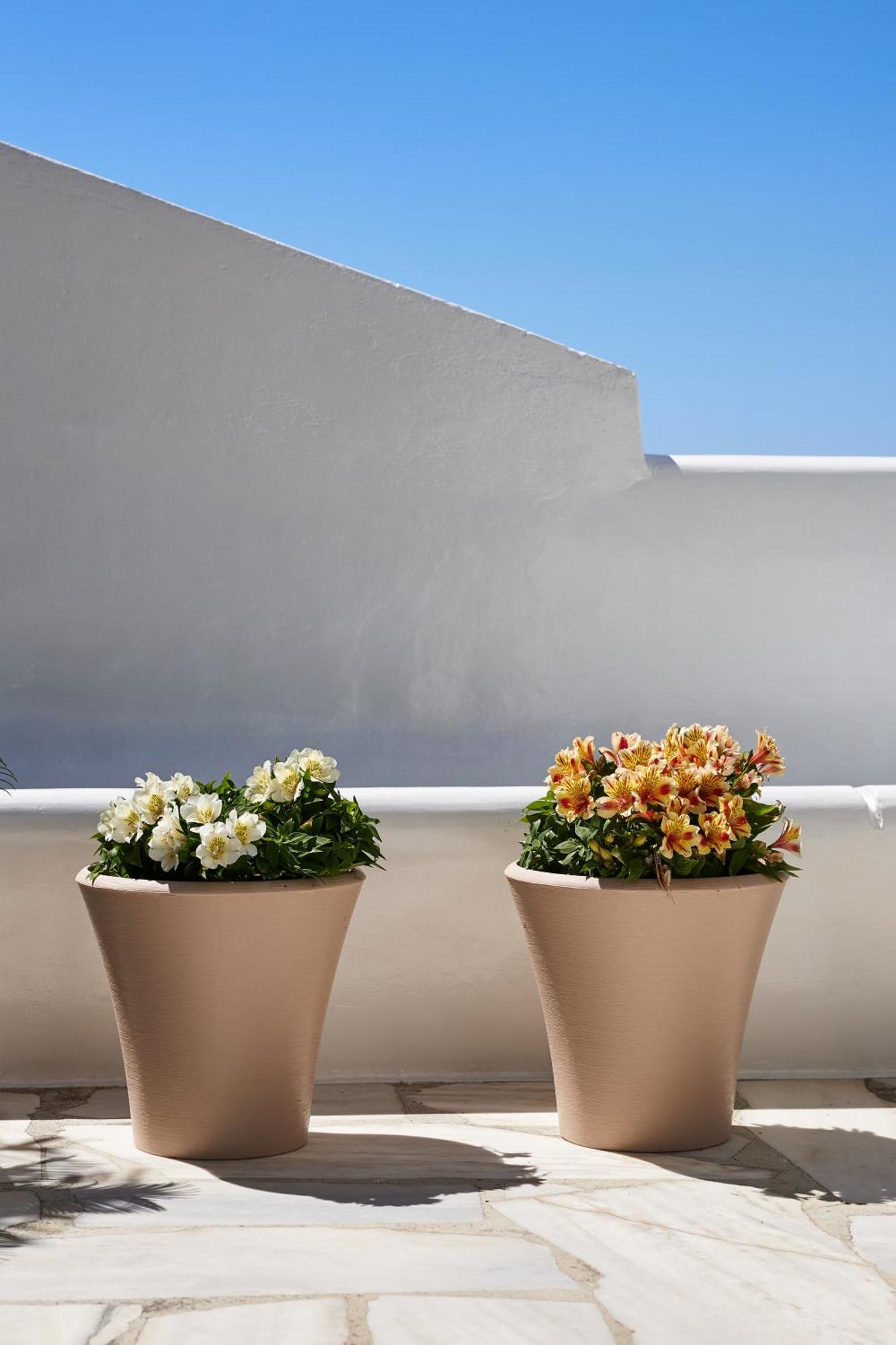 Sand Lily Villa Mykonos Mykonos Town Buitenkant foto